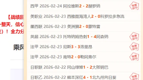2025年粮食增长攻略：核心四大要素解析